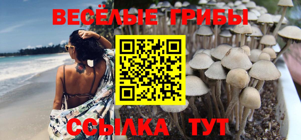 Галлюциногенные грибы прущие грибы  наркота  Будённовск  Вход с VPN 